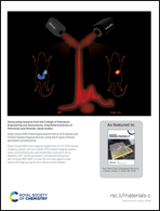 Graphical abstract: Inside back cover