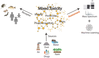 Graphical abstract: A brief review on the assessment of potential joint effects of complex mixtures of contaminants in the environment