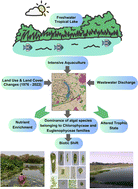 Graphical abstract: Intensive aquaculture affects lake's trophic status and aquatic floral diversity