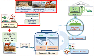 Graphical abstract: Production of biohythane from cow dung using novel microbial synthetic consortia designed by heat-treated and acclimatized combined wastes