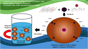 Graphical abstract: Rapid adsorptive removal of Pb2+ ions from aqueous systems using a magnetic graphene oxide calcium alginate composite: optimisation, isotherms, and kinetics