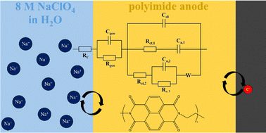 Graphical abstract: Identifying the charge storage mechanism in polyimide anodes for Na-ion aqueous batteries by impedance spectroscopy