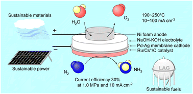 Graphical abstract: Electrochemical-catalytic NH3 synthesis from H2O and N2 using an electrochemical cell with a Ru catalyst, Pd–Ag membrane cathode, and NaOH–KOH molten salt electrolyte at 250 °C