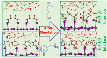 Graphical abstract: Understanding moisture stability and degradation mechanisms of 2D hybrid perovskites: insights from ab initio molecular dynamics simulations