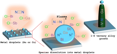 Graphical abstract: Dilute anion alloyed III-nitride nanowires for photoelectrochemical water splitting