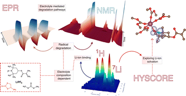 Graphical abstract: Electrolyte composition dependent Li-ion binding and degradation of organic radical battery material