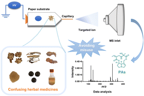 Graphical abstract: Rapid on-site identification of pyrrolizidine alkaloids in herbal medicines using miniature mass spectrometry