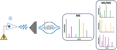 Graphical abstract: Development of a high-resolution paper-spray mass spectrometry method using street drugs for the early detection of emerging drugs in the unregulated supply