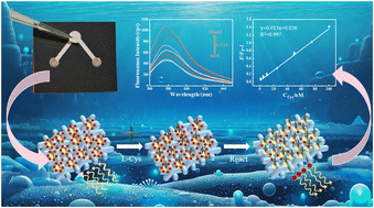Graphical abstract: Paper and cloth-based microfluidic chips for rapid cysteine detection in deep-sea cold seeps