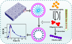 Graphical abstract: Nanochannel array-based platform for aggregation monitoring and high-sensitive identification of neurotoxic amyloid-β oligomers