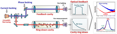 Graphical abstract: High-sensitivity cavity ring-down spectroscopy for hydroperoxyl radical measurement based on a tunable narrow-linewidth laser using linear cavity optical feedback