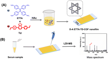 Graphical abstract: Donor–acceptor covalent organic framework nanofilm-based laser desorption/ionization mass spectrometry for rapid and sensitive determination of creatinine in human serum