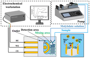 Graphical abstract: A three-dimensional micropillar electrode array-based microfluidic sensor for sensitive and stable voltammetric detection of phosphate