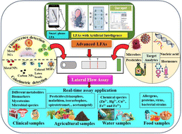 Graphical abstract: Progress of lateral flow assays for the detection of molecular and microbial species: from basic formats to microfluids, CRISPR and artificial intelligence