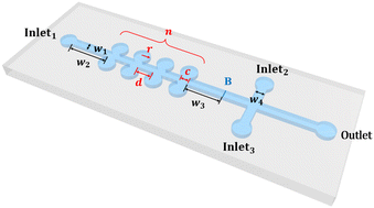 Graphical abstract: Research on cavity-driven control methods for concentration gradient microdroplets with high precision and stability