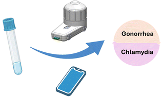 Graphical abstract: A low-cost point-of-care device for the simultaneous detection of two sexually transmitted bacterial pathogens in vaginal swab samples