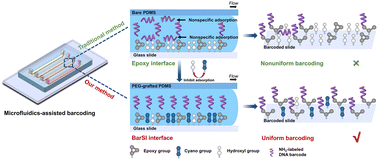 Graphical abstract: A barcode-specific immobilization interface for microfluidics-assisted uniform spatially barcoded microarray analysis