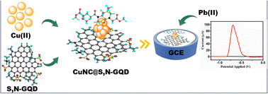 Graphical abstract: Unraveling the stability and specific electrochemical sensing of lead ions using copper nanoclusters on sulfur and nitrogen-doped graphene quantum dots