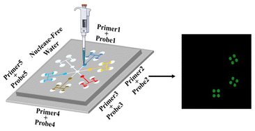 Graphical abstract: A directional self-priming continuous-driven compartmentalized microfluidic chip for multiplexed pathogen detection