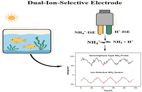 Graphical abstract: A dual-ion-selective electrode system for real-time monitoring of dissolved ammonia