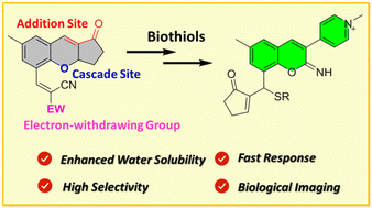 Graphical abstract: Sensing biothiols via thiol-chromene addition triggered fluorophore activation by intramolecular cyclization