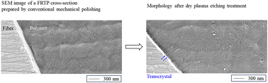 Graphical abstract: Establishing a universal dry etching methodology to unveil the nanoscale crystalline structure of fiber reinforced thermoplastic composites via scanning electron microscopy