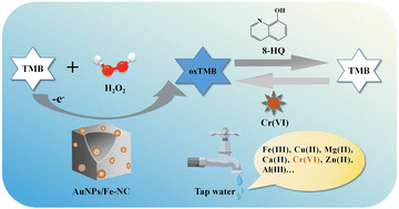 Graphical abstract: Novel Au-anchored Fe–NC nanozyme-enabled rapid and sensitive colorimetric detection of Cr(vi)