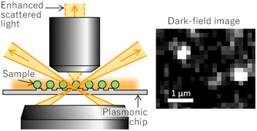 Graphical abstract: Signal enhancement from nanoparticles using dark-field microscopy with grating-coupled surface plasmon resonance