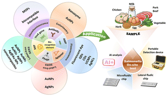 Graphical abstract: From design to application: developments and challenges of nanomaterial-based optical biosensors for Salmonella detection