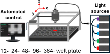 Graphical abstract: An automated illumination system for high-throughput photopharmacology studies: a case study of ROS-sensitive Zn- and Pd-phthalocyanine-loaded liposomes