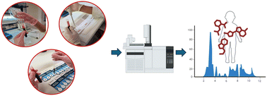 Graphical abstract: Toward minimally invasive metabolomics: GC-MS metabolic fingerprints of dried blood microsamples in comparison to plasma