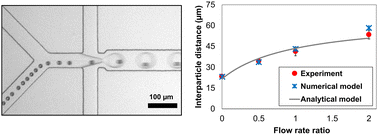 Graphical abstract: Deterministic droplet-based co-encapsulation of single cells through inertial and hydrodynamic focusing