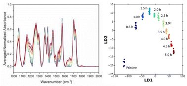 Graphical abstract: Predictive analysis of organic semiconductor photodegradation by FTIR spectroscopy with multivariate analysis