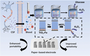 Graphical abstract: Transition metal doping boosting paper-based photoelectrochemical immunosensing for neurofilament light chain protein detection