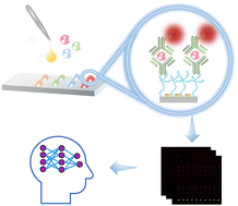 Graphical abstract: Development of liquid biopsy for screening colorectal cancer through the combination of an antibody microarray-based metal-enhanced sandwich immunofluorescent assay of cytokines with machine learning
