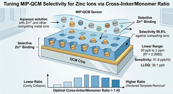 Graphical abstract: Tuning MIP-QCM selectivity for zinc ions via cross-linker/monomer ratio