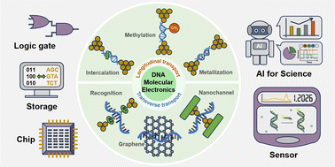 Graphical abstract: DNA molecular electronics – from molecular devices to quantum sequencing
