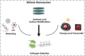 Graphical abstract: Recent advances in MXene nanozymes: synthesis, surface modifications, catalytic properties, and their emerging roles in biosensing and therapeutic applications