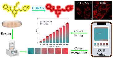 Graphical abstract: A near-infrared benzothiazole-based fluorescent probe for selective detection of CORM-3 with a large Stokes shift in living cells