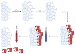 Graphical abstract: Molecular imprinting of aptamer/carbamazepine complexes for the development of an optical nanosensor
