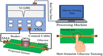 Graphical abstract: FFSC-based sensors for non-invasive real-time glucose monitoring
