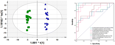 Graphical abstract: Urinary metabolomic characterization of meclofenoxate based on UHPLC-Q exactive HF orbitrap MS technology