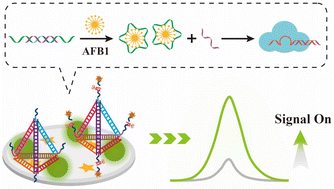 Graphical abstract: An “off–on” electrochemiluminescence biosensor based on CRISPR-Cas12a for ultrasensitive determination of aflatoxin B1