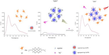 Graphical abstract: A novel fluorescence “off-on” sensor for the selective detection of mercury based on perylene dye and gold nanoparticles