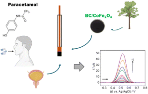 Graphical abstract: Development of sustainable electrodes based on cobalt ferrite-decorated biochar for the voltammetric determination of paracetamol in biological fluids