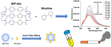 Graphical abstract: Development of amide-based molecular cages for the highly selective and sensitive detection of nicotine