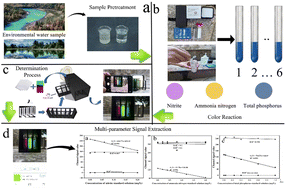 Graphical abstract: Real-time smartphone-based multi-parameter detection of nitrite, ammonia nitrogen, and total phosphorus in water