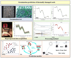 Graphical abstract: Hyperspectral imaging combined with DBO-SVM for the germination prediction of thermally damaged seeds
