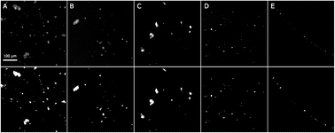 Graphical abstract: The importance of sample preparation method in testing air jet removal efficiencies of trace explosive particles relevant to non-contact sampling