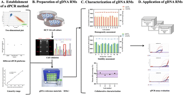 Graphical abstract: Establishment of a potential reference measurement procedure and reference material for PIK3CA H1047R mutation detection